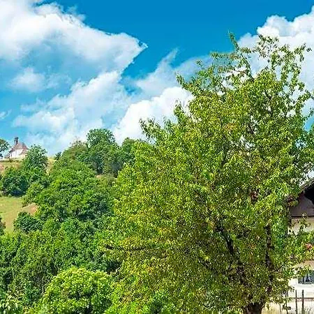 Attractive With Terrace, Cleaning Included *