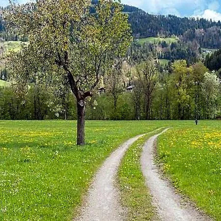 Attractive With Terrace, Cleaning Included Appartamento Kirchbichl